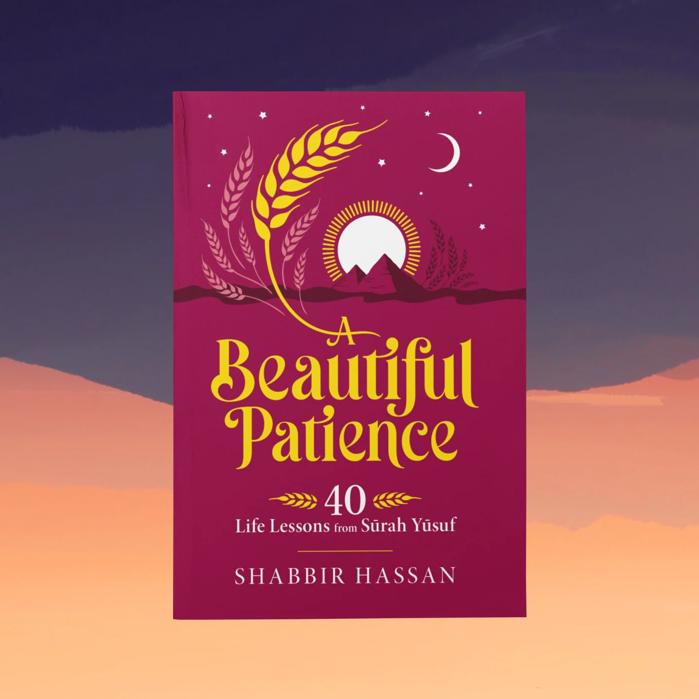 A Beautiful Patience: 40 Life Lessons from Surah Yusuf - Image 3