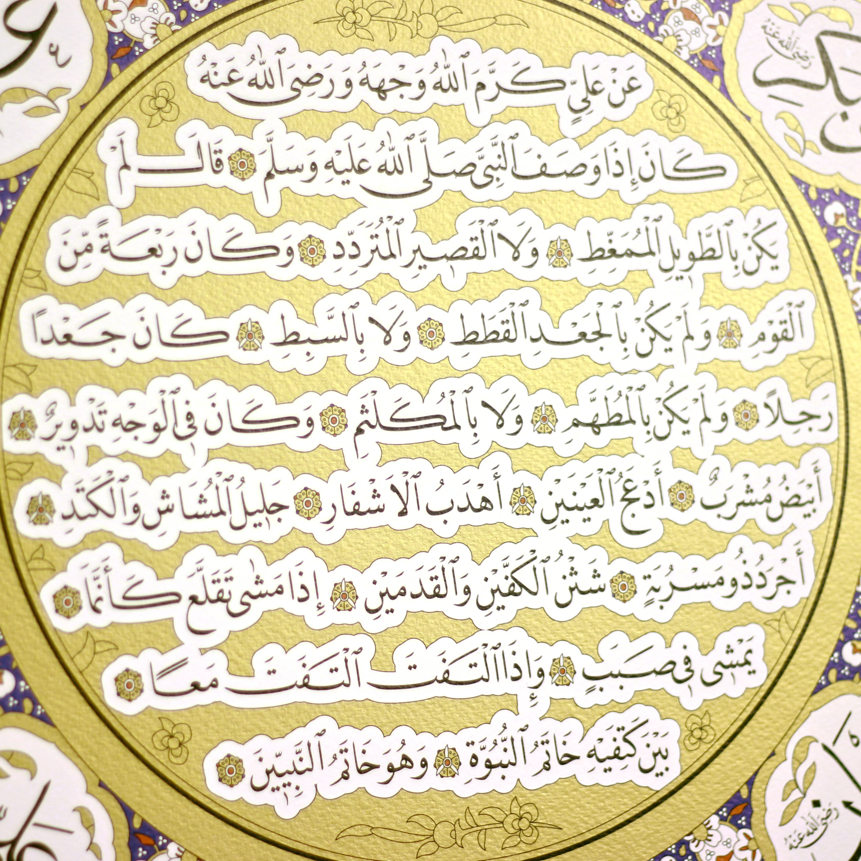 The Noble Hilya Sharif - Image 5
